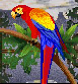 Parrot's portrait